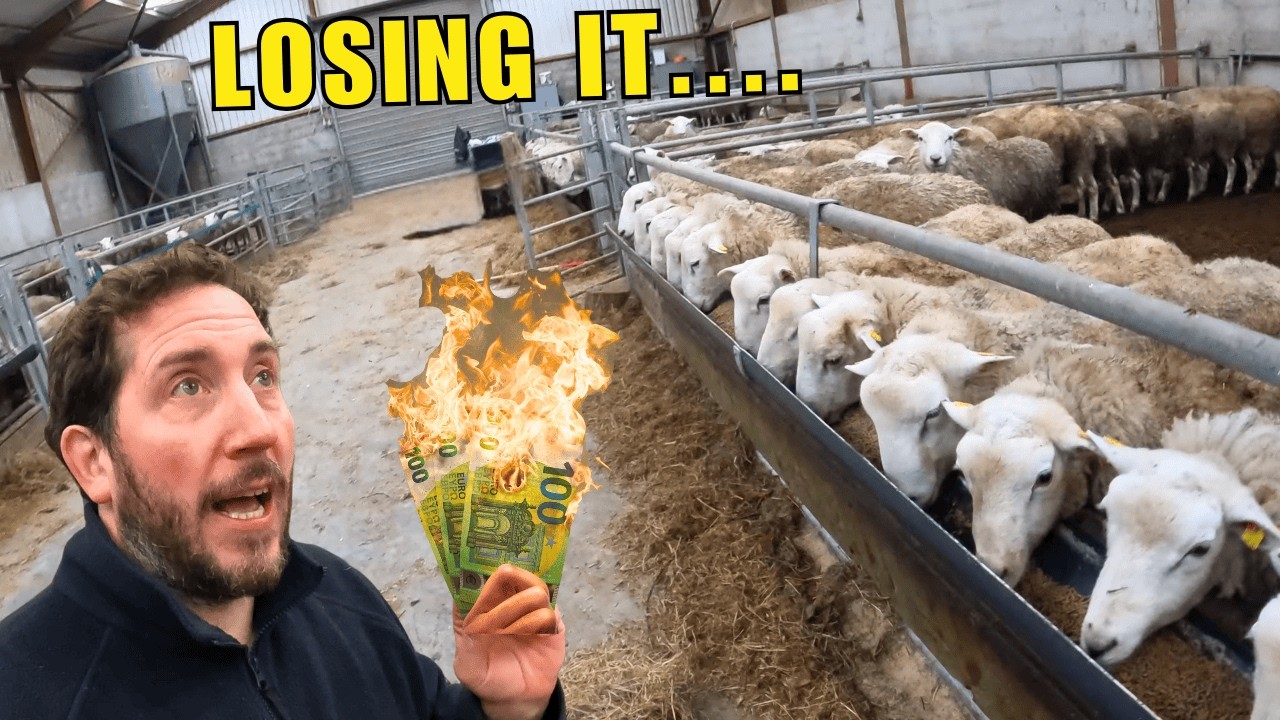 Worst Decision I Made This Year?