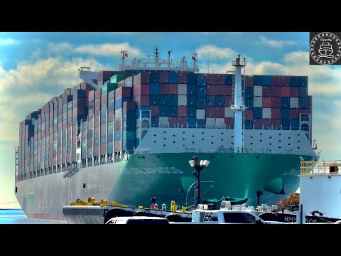 4K SHIPSPOTTING CALIFORNIA Port of Los Angeles - December 2024