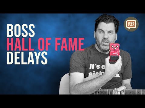 Boss DM-2, DD-2, & DM-3 - Boss Delays of the 1980s - Ask Zac 66