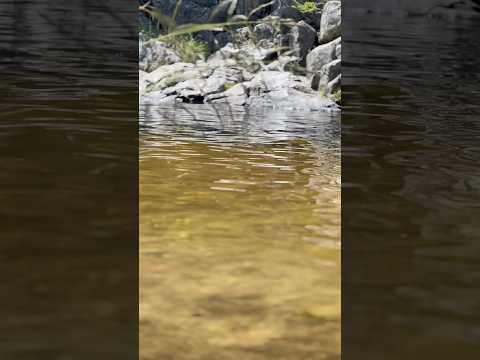 Un río cristalino y escondido en Los Reartes