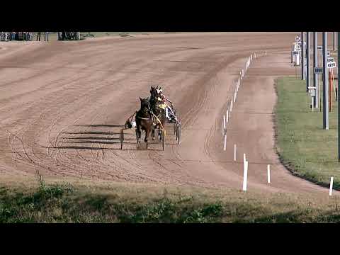 2019.10.19. 03. futam - 86. KÉTÉVESEK NAGYDÍJA