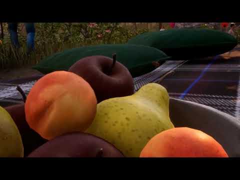 Totally Objective Review - Bee Simulator