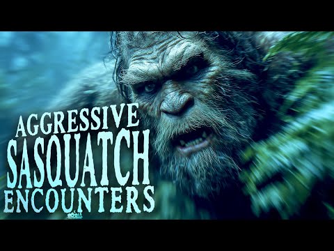 Aggressive Sasquatch Encounters - The Bigfoot Archives (featuring terrifying eyewitness details)