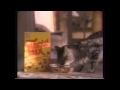 Meow Mix Commercial History 1974 Present