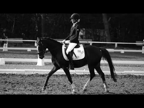 Abschieds Video | Good bye Wurzel | Lieblingspony 💔