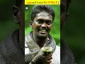 3000 सापो ने काटा फिर भी कुछ नहीं हुआ Vava Suresh 