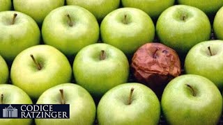 S. Agostino, Ratzinger e il concetto di "mela marcia" che salva la Chiesa, da Giuda a Bergoglio