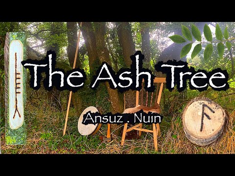 Ash. Folklore, Mythology and symbolism of the Ash Tree.