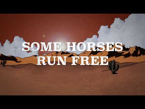 Jim Lauderdale - "Some Horses Run Free" (Lyric Video)