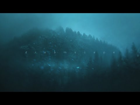 d2s1 - it never mattered