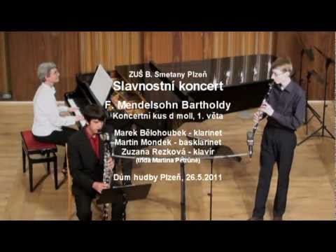 Klarinetové duo | F. Mendelsohn - Koncertní kus | ZUŠ B. Smetany Plzeň