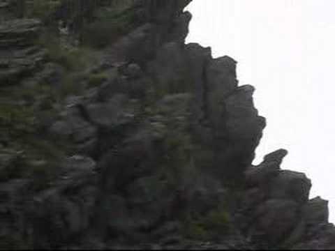 Sad Smoky Mountains - Baiardetta (3)