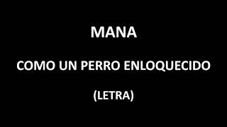Maná - Como un perro enloquecido (Letra/Lyrics)