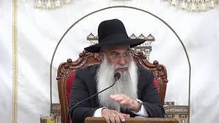 🕊️ הרב ישי פרי שליט״א |השיעור השבועי | פרשת אחרי מות קדושים תשפ״ו