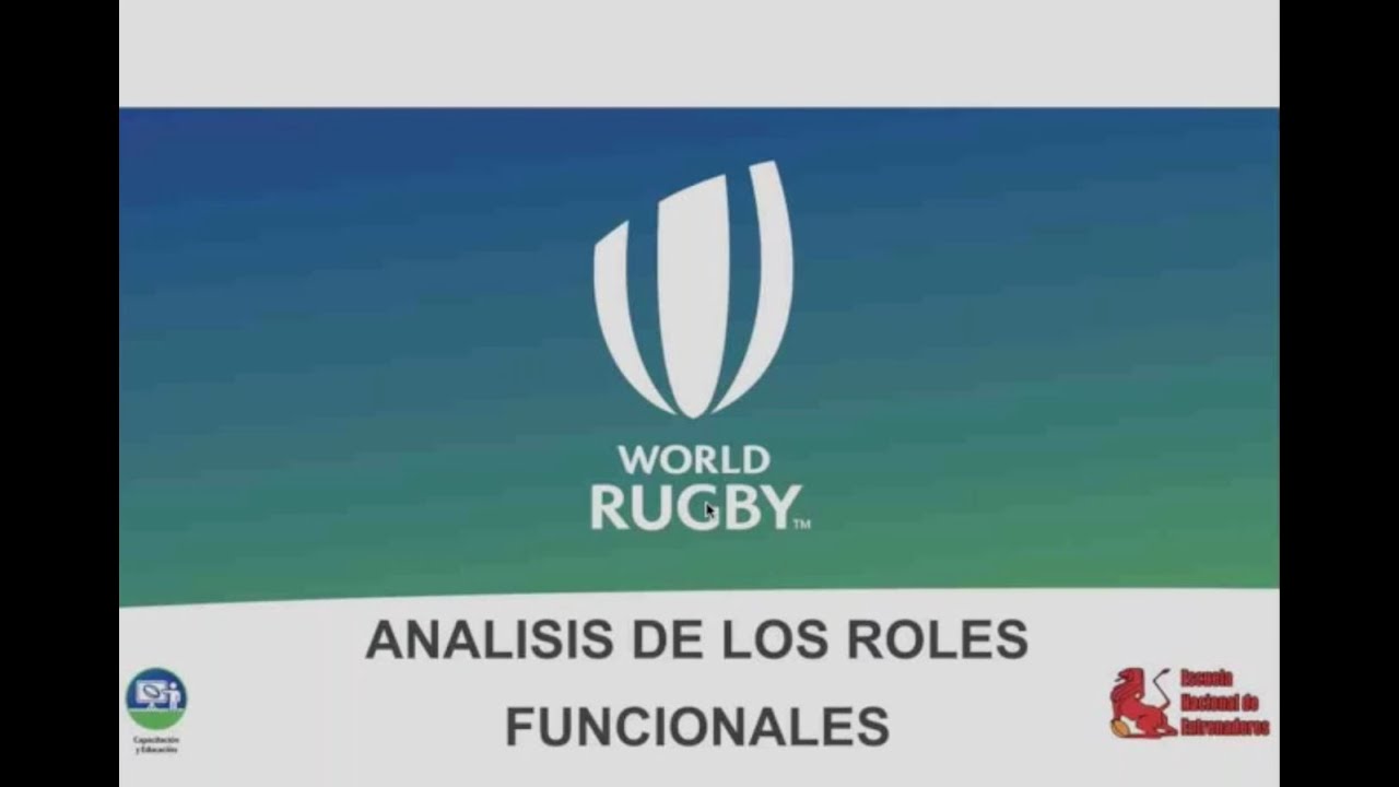 Roles Funcionales: Concepto y comportamientos.