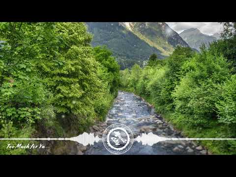 waykap feat. Julia Carbajal - Too Much for Ya