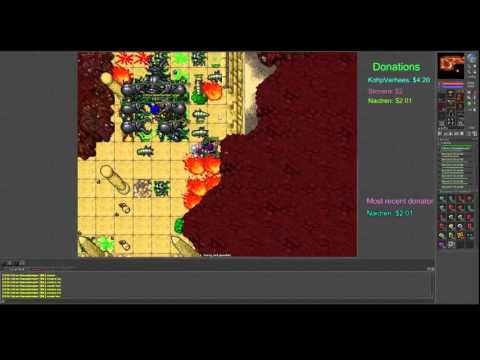 lvl 87 bot at ancient scarabs