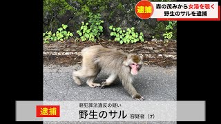 女湯を覗いたサルが逮捕されてツボるアナウンサー