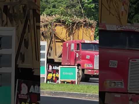 Camino a Mazatenango Suchitepéquez Guatemala.