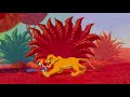 Kmari And Baileys Adventures Of The Lion King Pt 5