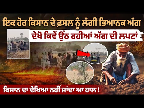 Another farmer's crop caught fire, look how the flames are rising