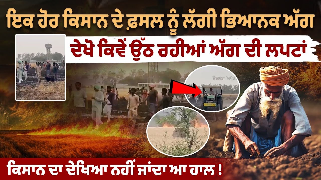 Another farmer's crop caught fire, look how the flames are rising Another farmer's crop caught fire, look how the flames are rising