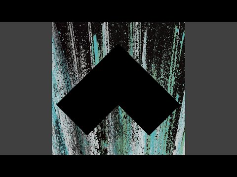 Coyote - The Lonely Forest