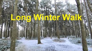 Walking In Winter Woods - Virtual Trail Walk For Treadmill Scenery
