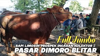 Download lagu PASAR SAPI DIMORO BLITAR JAWA TIMUR - SENTRAL PASAR SAPI TER BESAR BANYAK SAPI JUMBO BERKUALITAS mp3 Download lagu PASAR SAPI DIMORO BLITAR JAWA TIMUR - SENTRAL PASAR SAPI TER BESAR BANYAK SAPI JUMBO BERKUALITAS mp3
