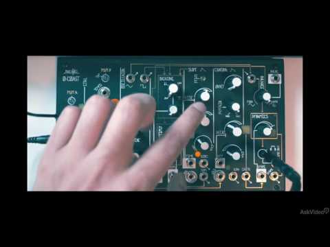 Free Download Make Noise 0-Coast TUTORiAL