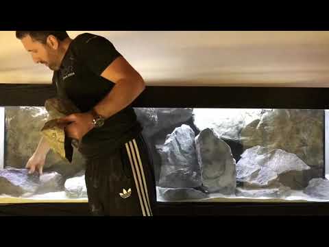 Non-Floating Bottom Rocks Decoration for Malawi and Tanganyika setups - Aquadecor