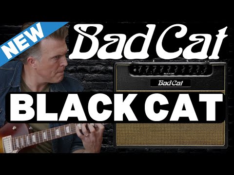 Bad Cat Black Cat 20 Watt Head image 5
