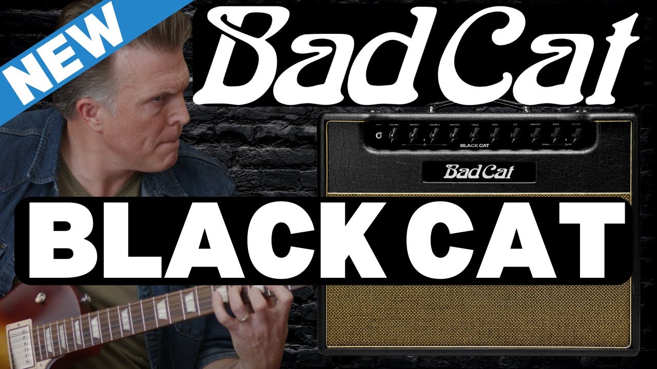 NEW Bad Cat "Black Cat" FIRST LOOK Demo