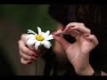 Elnare Xelilova feat. Dostlar Qrupu - Sen deme ...
