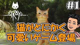 #1【Stray】猫＆サイバーパンクなゲーム　とにかく猫で和めるゲームです。猫好きもそうでない方もオススメ【ゲーム実況/猫ゲー/ストレイ】