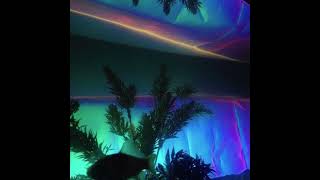 [free] d savage x pierre bourne type beat - ''fiji''