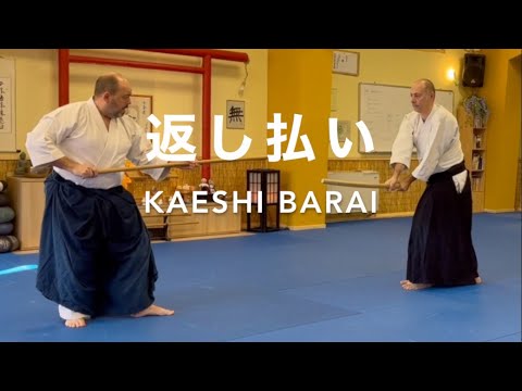 Kaeshi barai - Marco Rubatto