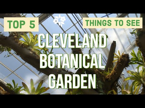 download lagu mp3 mp4 Cleveland Botanical Garden Membership, download lagu Cleveland Botanical Garden Membership gratis, unduh video klip Cleveland Botanical Garden Membership