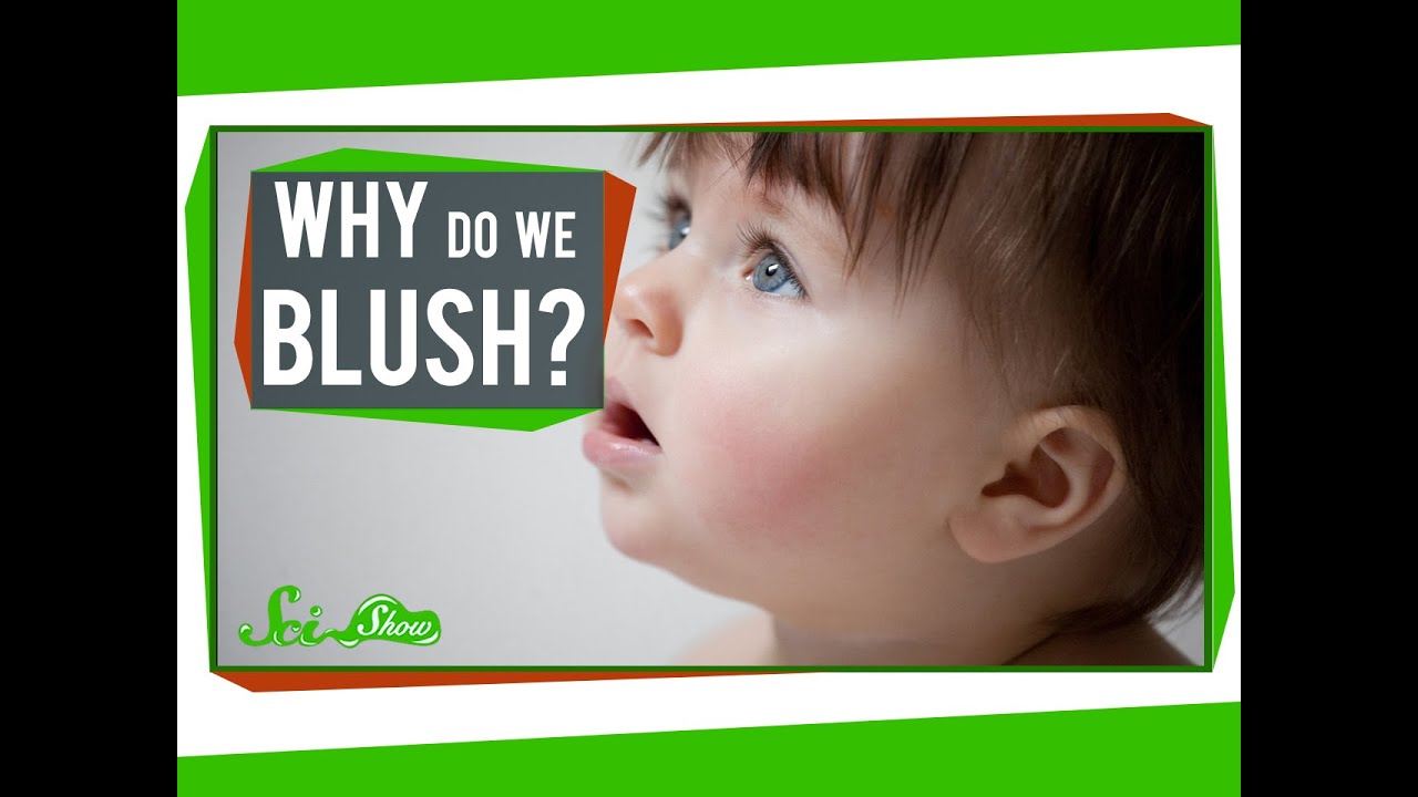 Why Do We Blush?