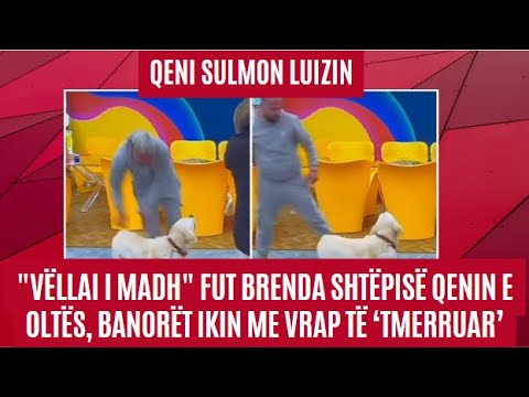 'Qeni sulmon Luizin' "Vëllai i Madh" fut brenda shtëpisë qenin e Oltës, banorët ikin me vrap - 2023