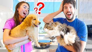 Puppy Meets Cat for the FIRST TIME! (Reaction)