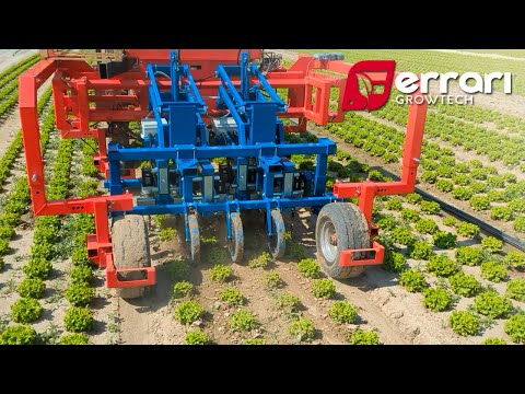 Introducing Twistweed AI: The Future of Weeding with Ferrari Growtech