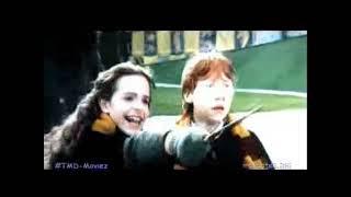 Harry y Hermione porta (gema) todo termino