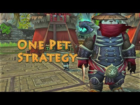 Taran Zhu ( Celestial Tournament ) One Pet Strategy Guide