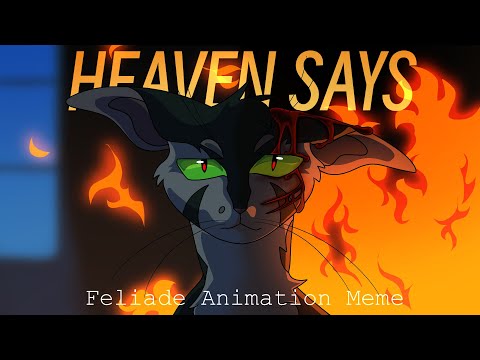 (CW!) ⛈️ HEAVEN SAYS 🔥 Felidae