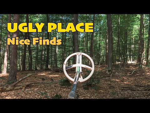 Small Forest Patch, Great Result! Nice Treasure Hunt on an Ugly Slope