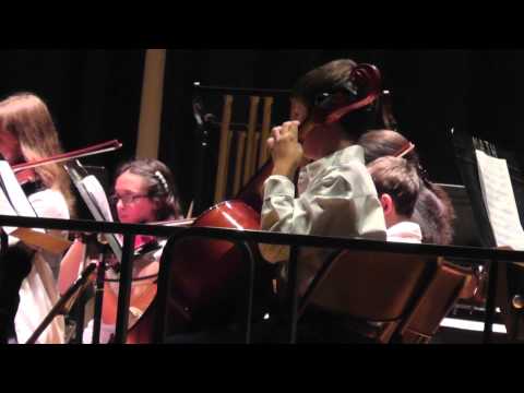 Merrick Ave School Orchestra   Dance of the Reed  Pipes The Nutcracker