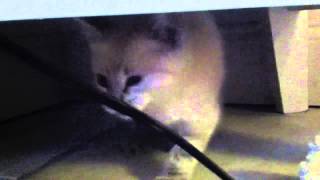 Did you get scared? Sorry.