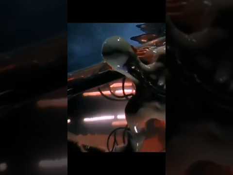 Is Our World Truly Original? Episode#1(p8)#shortsfeed #ytshorts #zakiazakotv