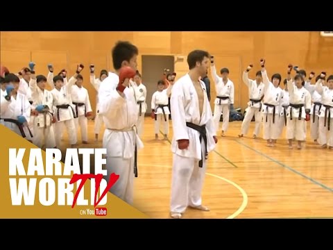 Tzanos Flash Karate Application Seminar- Tzanosフラッシュ空手アプリケーションセミナー  [Trailer]